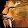 Predatory Swiftness icon