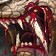 Apex Predator's Craving icon