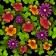 Early Spring icon