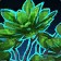 Bounteous Bloom icon