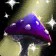 Wild Mushroom icon